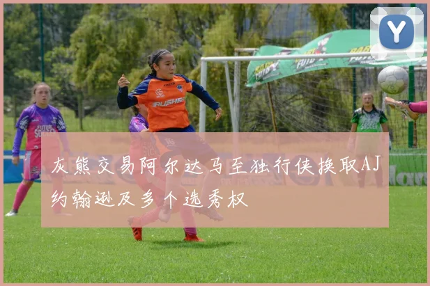 灰熊交易阿尔达马至独行侠换取AJ约翰逊及多个选秀权