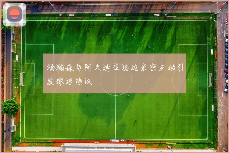 杨瀚森与阿夫迪亚场边亲密互动引发球迷热议